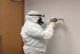 Avoid Expensive Repairs by Detecting Asbestos Early