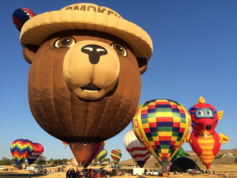 Colorful hot air balloons in the sky featuring various designs.