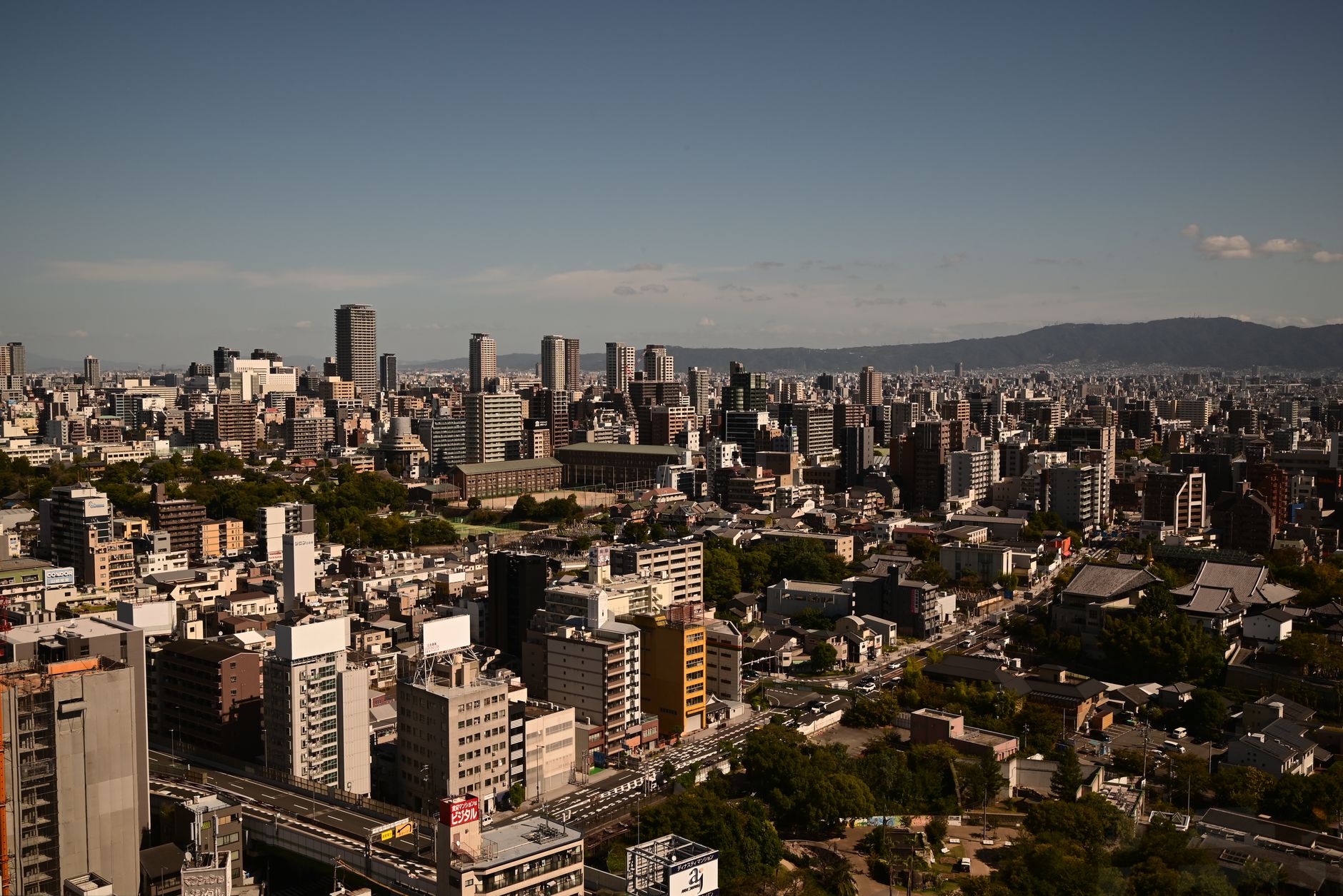 Nippon Express expansion