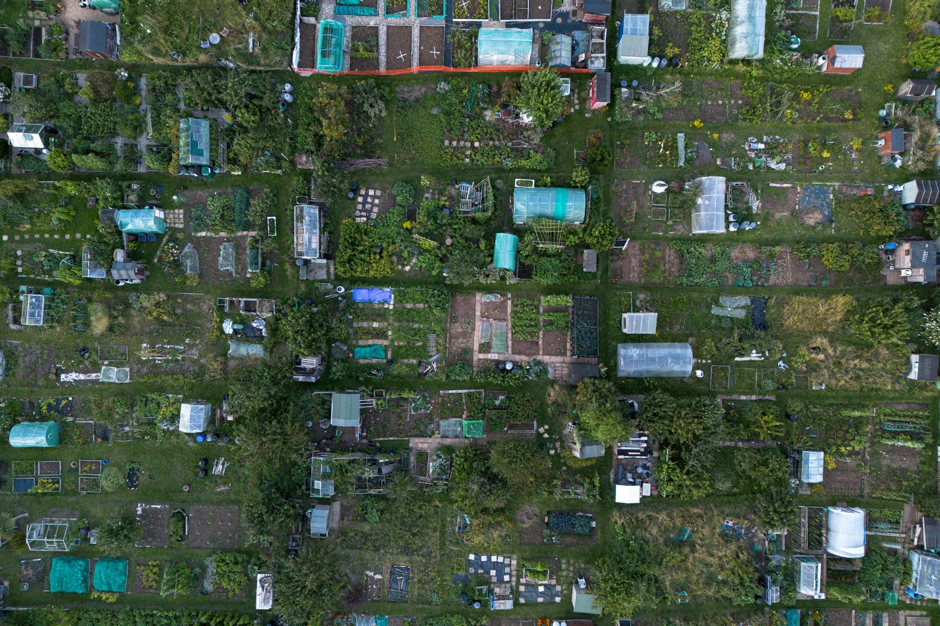 Rentomojo IPO allotment
